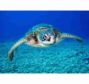 Really beautiful sea turtle is a perfect design for your new bathroom wall murals to make that interior a stylish and interesting space! Free delivery
