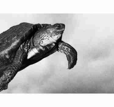 Black and white wall mural with a turtle will be a perfect decoration of your office. High quality image and matte colours. Free delivery!