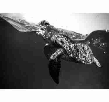 Incrível fotomural de animais em preto e branco com uma tartaruga a nadar. Escolha o tamanho que precisa e encomende agora!