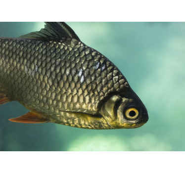 Carp animal wall vinyl mural - TenStickers