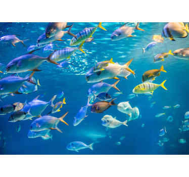 Um peixe colorido subaquático exibe uma decoração fotomural vinílico de papel de parede azul para o seu espaço. Uma decoração para criar uma atmosfera maravilhosa em qualquer espaço.