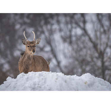 Bebek ren geyiği manzara duvar resmi - TenStickers