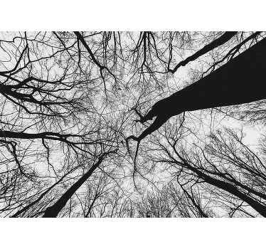 Fotomural bosque encantador color gris - TenVinilo