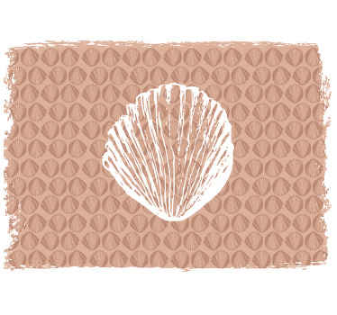 Ostale zidne freske uzorak školjki - TenStickers