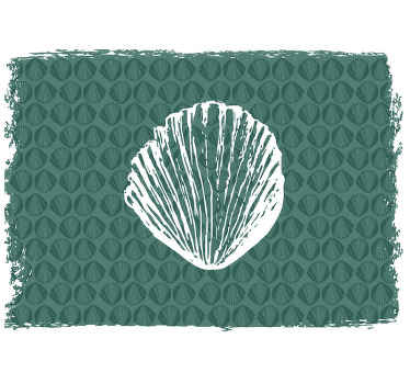 Retro jūros kriauklės modelio gyvūnų sieninė tapyba - „Tenstickers“