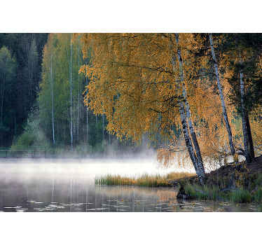 Koivu ja järvi järvi valokuvatapetti - Tenstickers