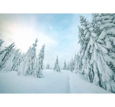 Talven ihmemaa valokuvatapetti luonto - Tenstickers