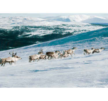 Poro, joka juoksee lumessa valokuvatapetti metsä - Tenstickers