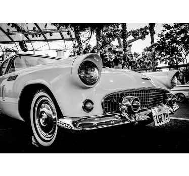 An amazing black and white vintage car wall mural to decorate your nature wall with! Choose the right size for you and get decorating.