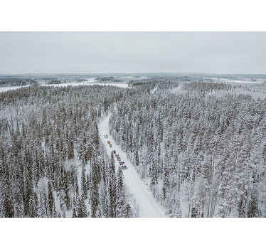 Maisema lumiseinämaalaus valokuvatapetti luonto - Tenstickers