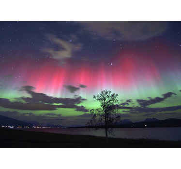 Talvitie revontulilla valokuvatapetti luonto - Tenstickers