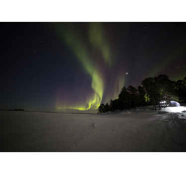 Lumimetsä revontulet tapetti kuvalla valokuvatapetti luonto - Tenstickers