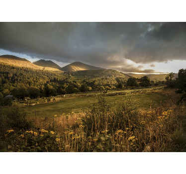 Irish countryside. nature wall mural - TenStickers