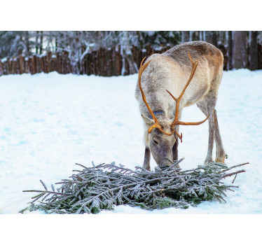 Sne med rensdyr jul fototapet - TenStickers