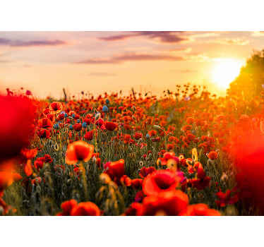 夕焼けの壁画のポピー畑 - TENSTICKERS
