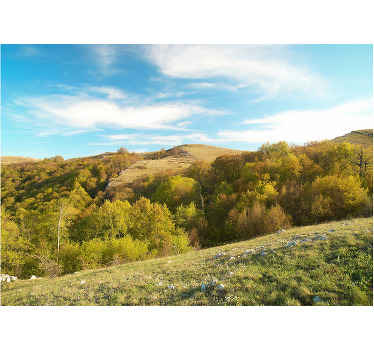 Venkov krajina příroda fototapeta - TenStickers