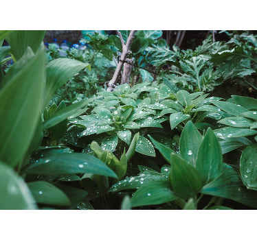 Fototapete Natur üppige grüne textur - TenStickers