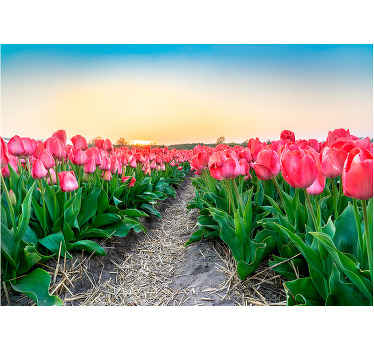 Tulip Field Serenity poppy wall mural - TenStickers