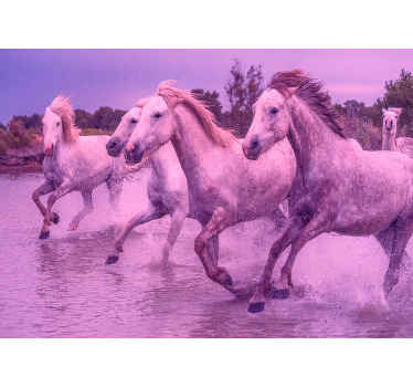 Galoperende hvide heste fototapet dyr - TenStickers