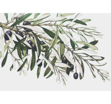 σύγχρονη τοιχογραφία κλαδί ελιάς - TenStickers