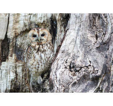 迷彩猫头鹰壁画 - TenStickers