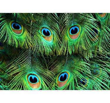 孔雀羽毛墙壁画 - TenStickers