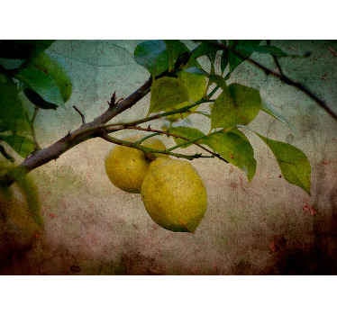 Fotobehang keuken Citroenboom in vintage stijl - TenStickers