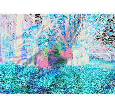 Tapisserie murale forêt sentier d'automne - TenStickers