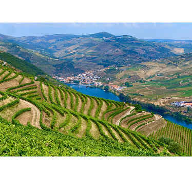 Fototapeta krajobraz rzeka dolina winnic - TenStickers