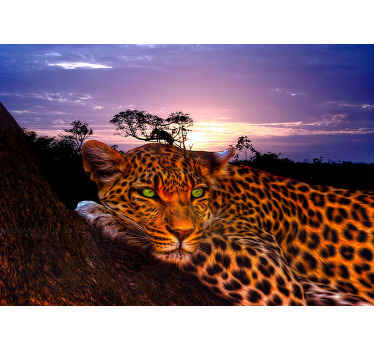 Leopardí reflexy na fototapetě dolů - TenStickers