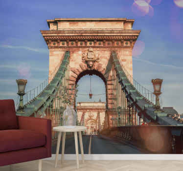 Fotomural 3D Vista panorámica del puente de budapest - TenVinilo