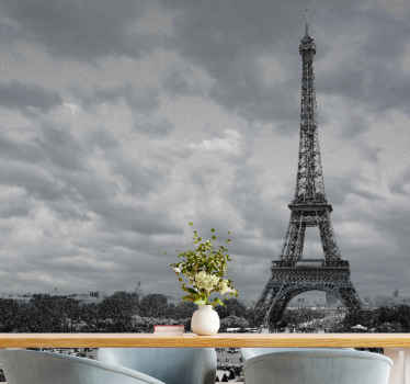 흑백 파리 도시 벽 벽화 - TenStickers