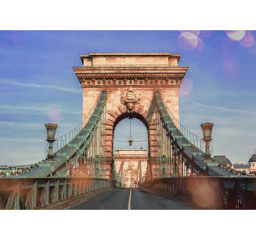 Fotomural 3D Vista panorámica del puente de budapest - TenVinilo
