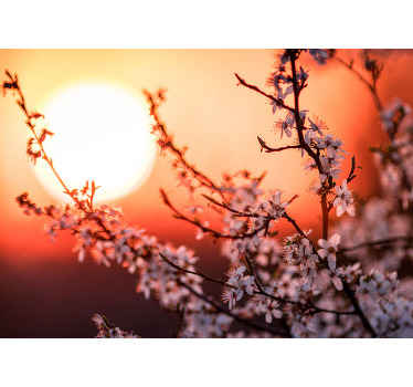 Mural de flores exhibición de flores al atardecer - TenVinilo