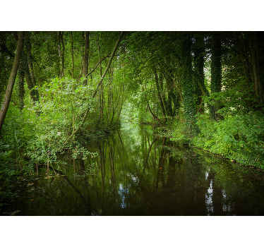 fototapetde pădure olandeză cu râu natură - TenStickers