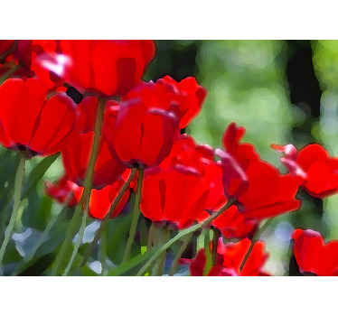 Foto tapete od maka jarke crvene cvjetove - TenStickers