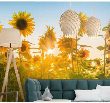 Sunflower Field Glow flower wall mural - TenStickers