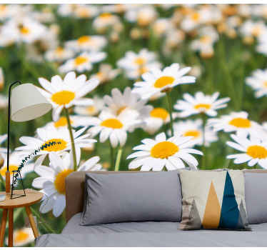 Tratinčica cvijeće field wall mural - TenStickers