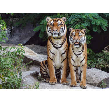 Majestic Tigers animals wall mural - TenStickers