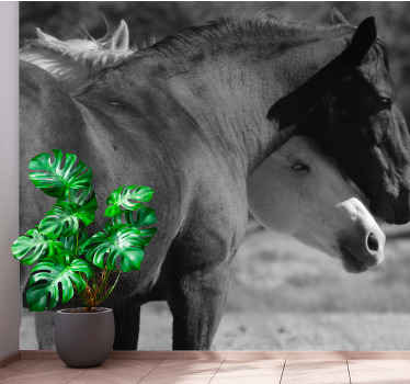 動物 壁画 馬の友情 - TENSTICKERS