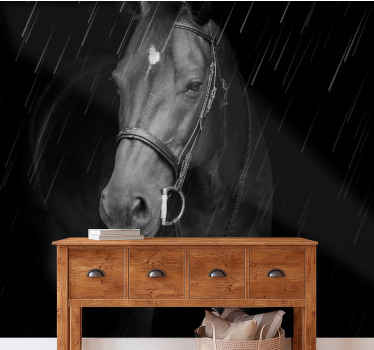 動物 壁画 威厳ある馬の肖像 - TENSTICKERS