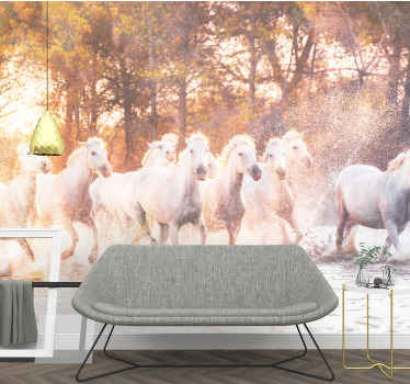 Wild horses warm sunset view wall mural - TenStickers