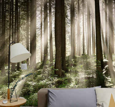 벽 벽화 뒤에 태양이 있는 키 큰 나무 - TenStickers