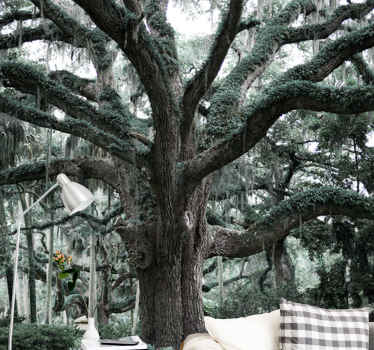 Majestic oak branches wall mural trees - TenStickers