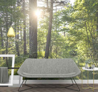 Sunny day in the woods Forest Wall Mural - TenStickers