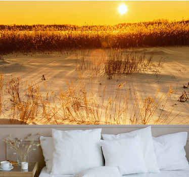 Pampasgrass ηλιοβασίλεμα στιγμή φύση τοιχογραφία τοίχου - TenStickers