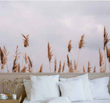 Fototapete Natur Pampasgras neblige aussicht - TenStickers