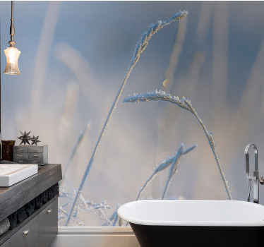 Tenká tráva na modrej prírode fototapeta - Tenstickers