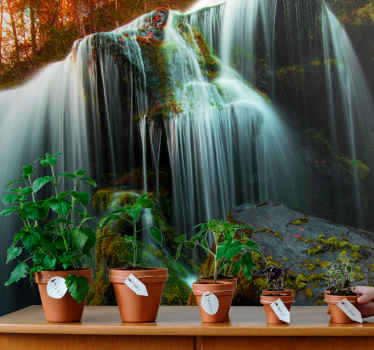 Fototapete Wasserfall Tiefer wald - TenStickers