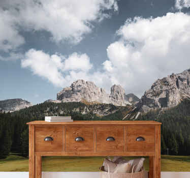 Fotomural de montañas Campo de hierba - TenVinilo